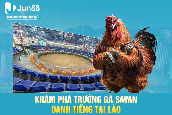 Khám phá trường gà Savan danh tiếng tại Lào